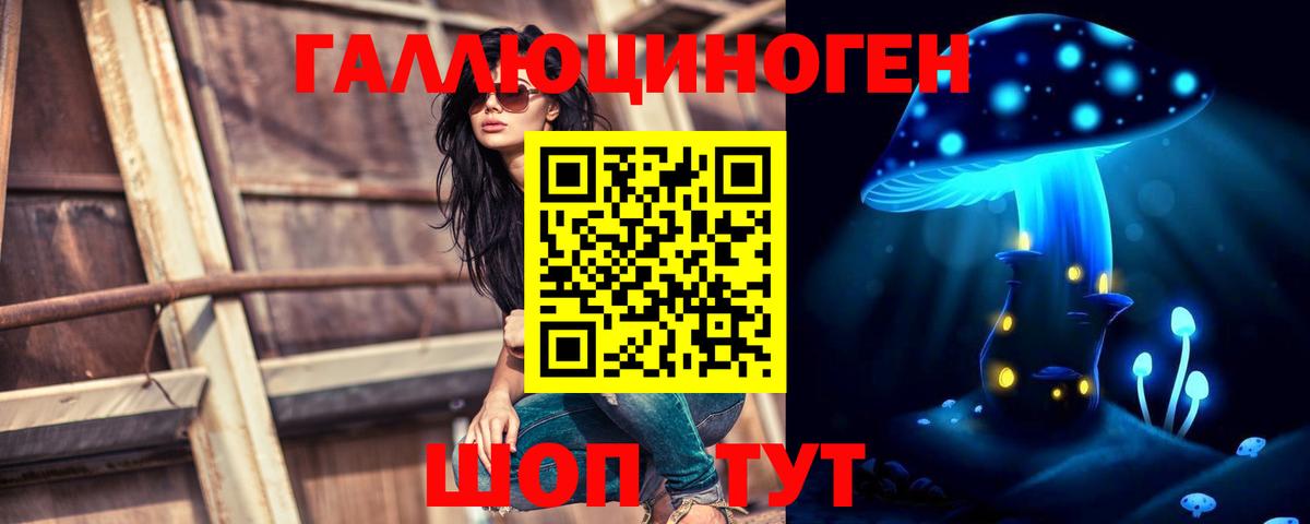 Псилоцибиновые грибы Cubensis Саратов