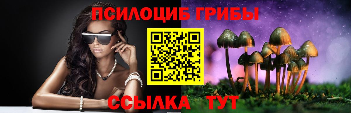 Саратов  Псилоцибиновые грибы ЛСД  закладки  Галлюциногенные грибы MAGIC MUSHROOMS  Вход с VPN 